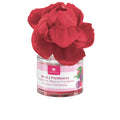 SCENTED FLOWER air freshener 0% #blackberries and raspberries 40 ml