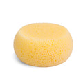 hydrophilic sponge